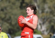 Demons deliver on the road