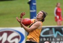 Big game at Vansittart Park