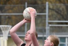 Millicent too strong for Cats