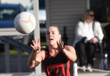 Understaffed Bulldogs show dominance