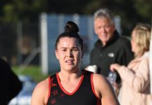 Dogs favoured over Cats