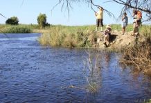 Water Allocation Plan review set to begin