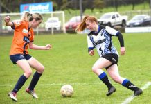 Five-star performance from Doody