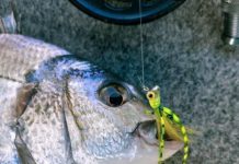 Sunny conditions welcomed by all