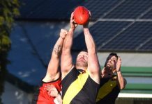 Hawks claim dominant win
