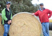 Disease risk for farmers