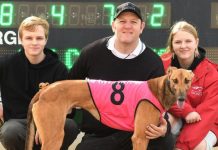 Departure Gate to chase second cup win