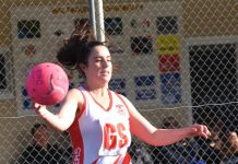 Roosters take on young Hawks