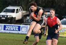 Magpies take flight at the Bay