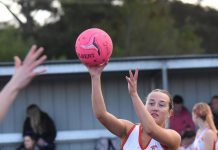 Roosters hold on in nail-biter