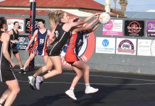 Magpies on top at the Bay