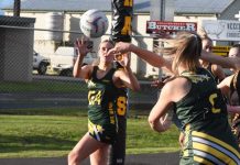 Experience shines through