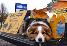 Caring for our service friends