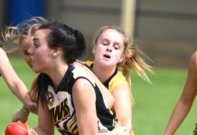 Ready for the first bounce