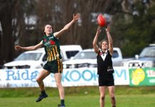 Mozzies no match for dominant Magpies