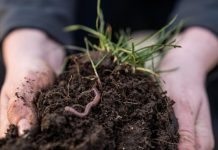 Adaptative Agricultures grants awarded