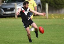 Magpies take flight in breezy conditions