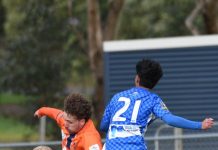 Lions return to the winner’s list