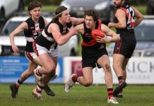 Bulldogs test Saints