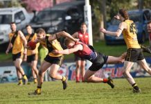 Tigers roar to life in finals