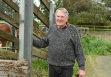 Sent into holiday mode