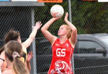 Tigers too good for Hawks