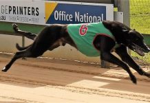 Price continues on record-breaking spree