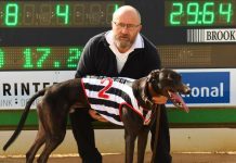 El Banjo stakes serious claim for Winter Classic Honours