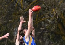 Intriguing count for Mid South East