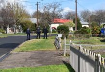 Wanted Millowick taunts police