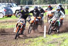 Mount Gambier riders star in Hamilton