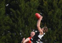 Magpies stage ravenous attack