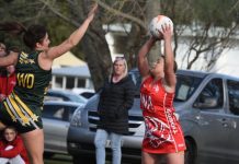 Tigers sneak into finals series
