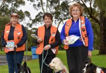 Story Dogs helping students to read