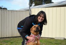 Full house in the dog house