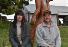 Tree change for new farm owners