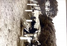 Special day for senior scout