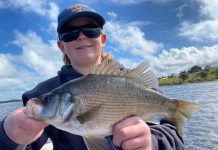 Big numbers on the bite