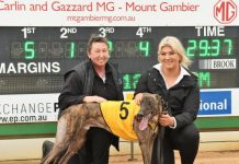 Boom youngster kicks off big day of racing at Tara Raceway