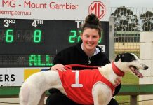 Moonlight shines on Tara Raceway