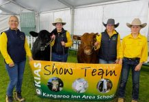 Schools excel at show
