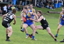 Season’s best battle for honours