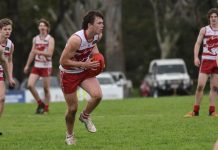 Young stars to set the scene