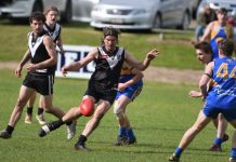 Eagles in the box seat