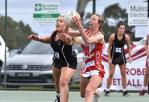 Magpies back for more