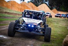 Pine forest to roar into life