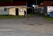 Reward offered for break-in info