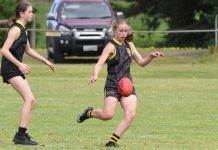 Spectacle under lights