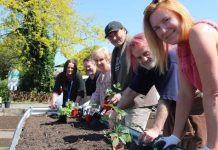 Sowing seeds for community feeds
