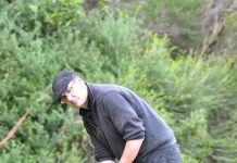 Strong performance from Harvey